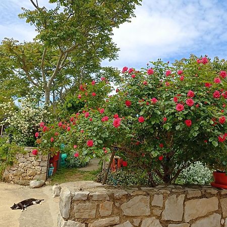 App Bonic Apartman Veli Lošinj Kültér fotó