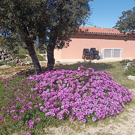 App Bonic Apartman Veli Lošinj Kültér fotó