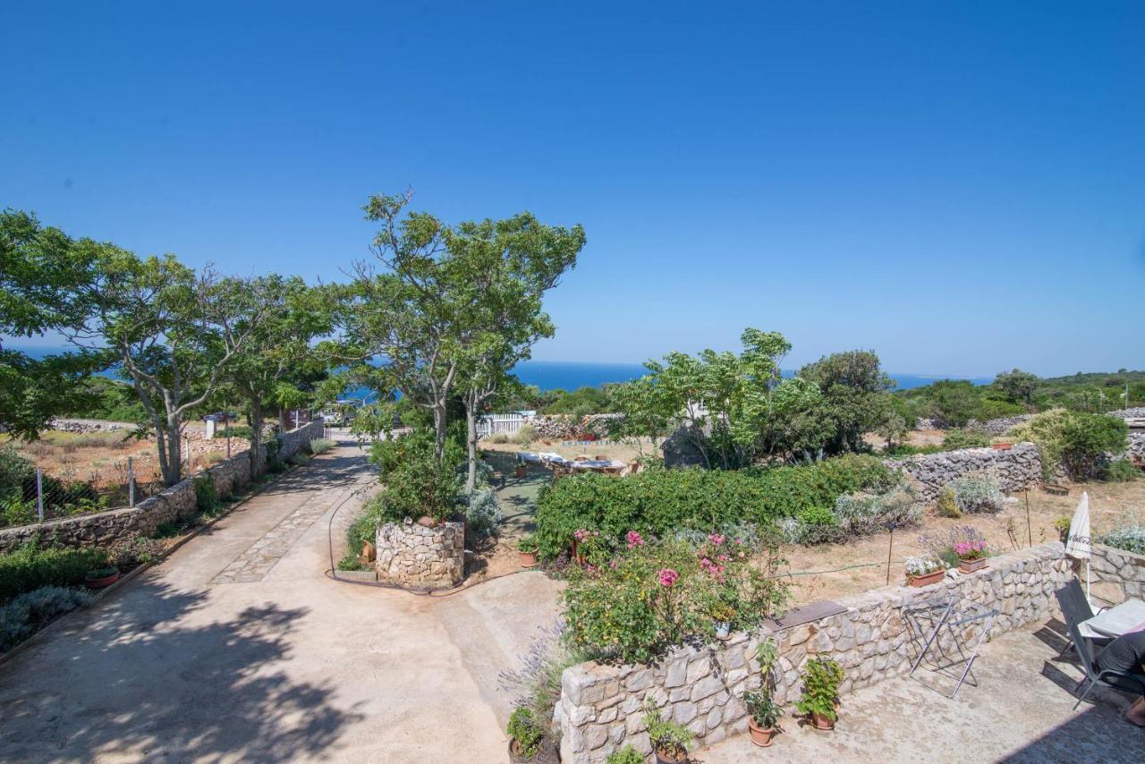 App Bonic Apartman Veli Lošinj Kültér fotó