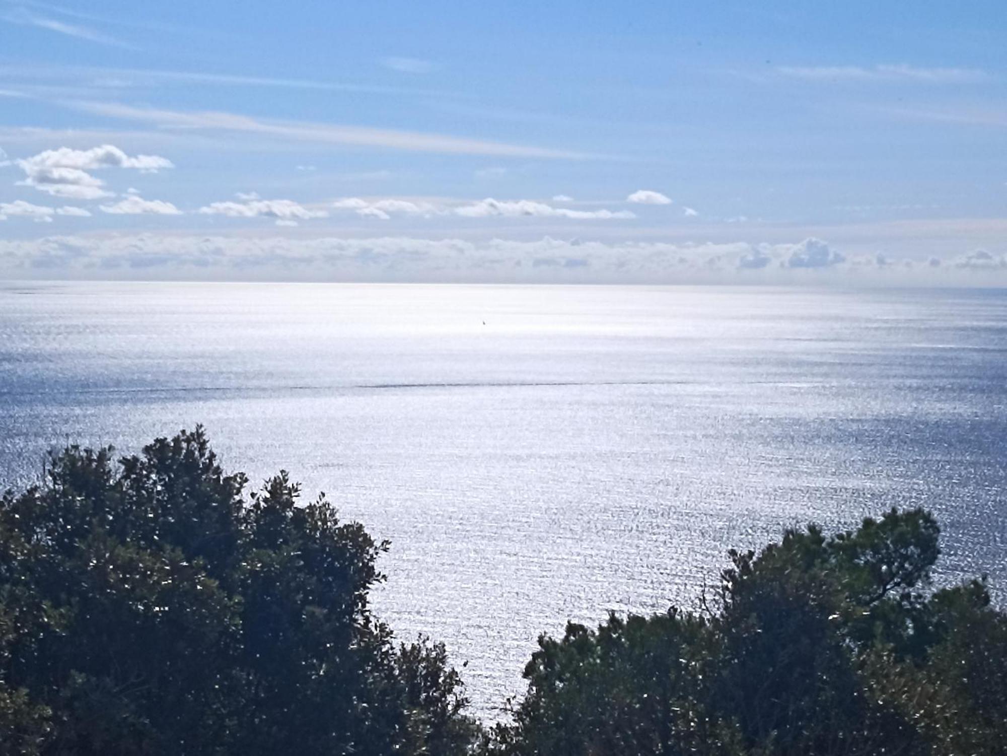App Bonic Apartman Veli Lošinj Kültér fotó