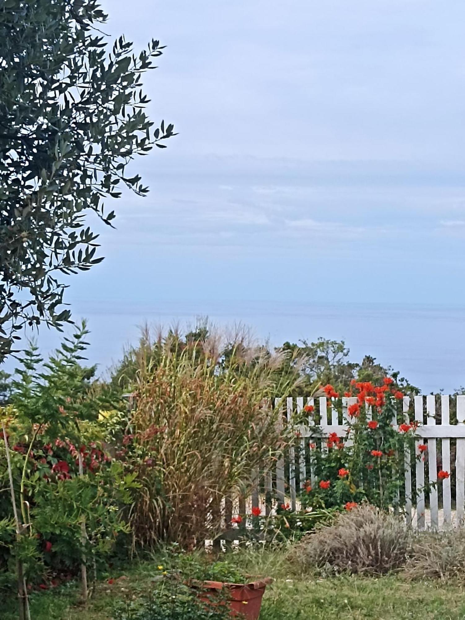 App Bonic Apartman Veli Lošinj Kültér fotó