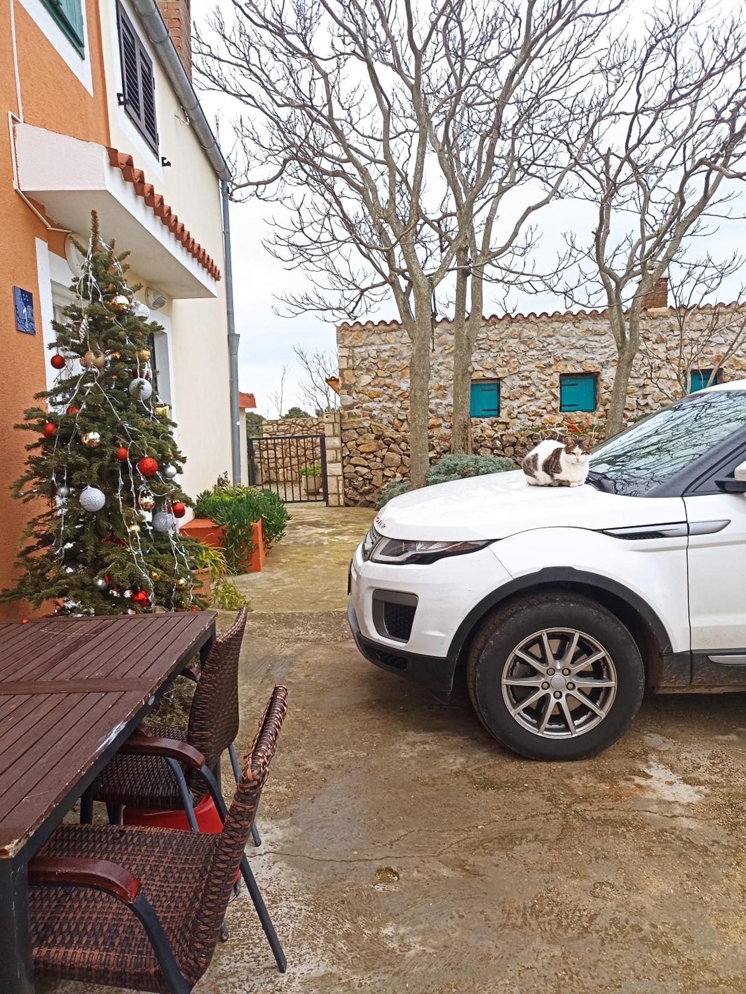 App Bonic Apartman Veli Lošinj Kültér fotó