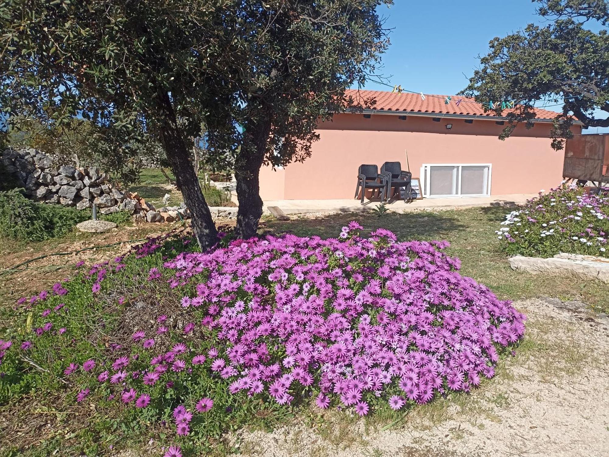 App Bonic Apartman Veli Lošinj Kültér fotó